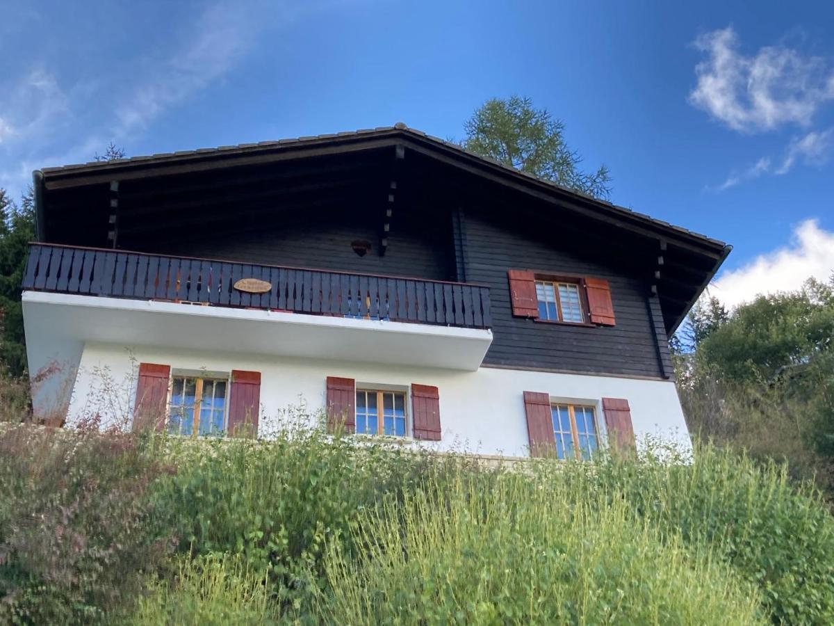 Chalet Chalet 1627 By Interhome Moleson Ngoại thất bức ảnh